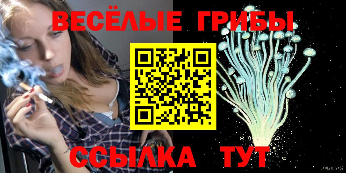 Псилоцибиновые грибы прущие грибы Каменск-Шахтинский