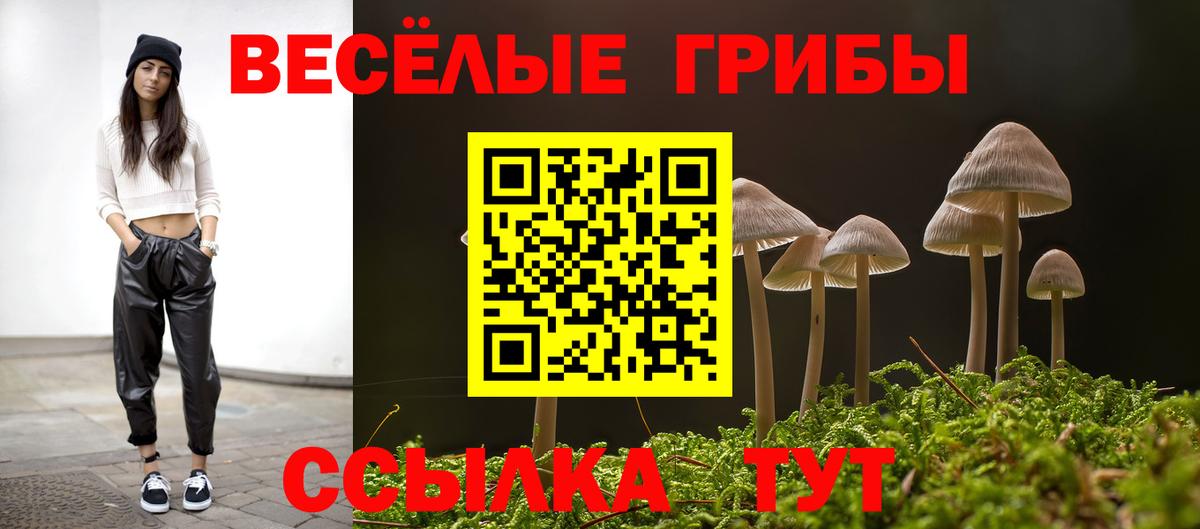 Псилоцибиновые грибы Magic Shrooms  Вход с VPN  Каменск-Шахтинский 